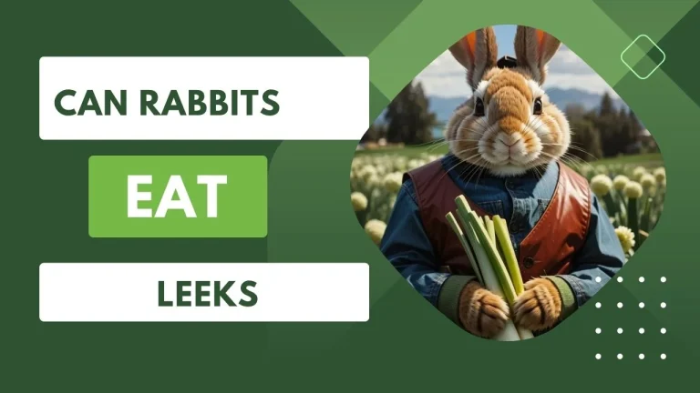 Can Rabbits Eat Leeks? 4 Best Nutritional Value