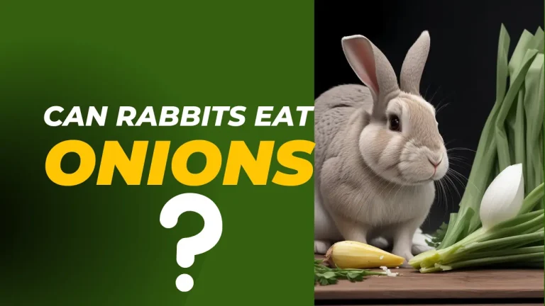Can Rabbits Eat Onions? 7 Nutrition Facts and FAQs